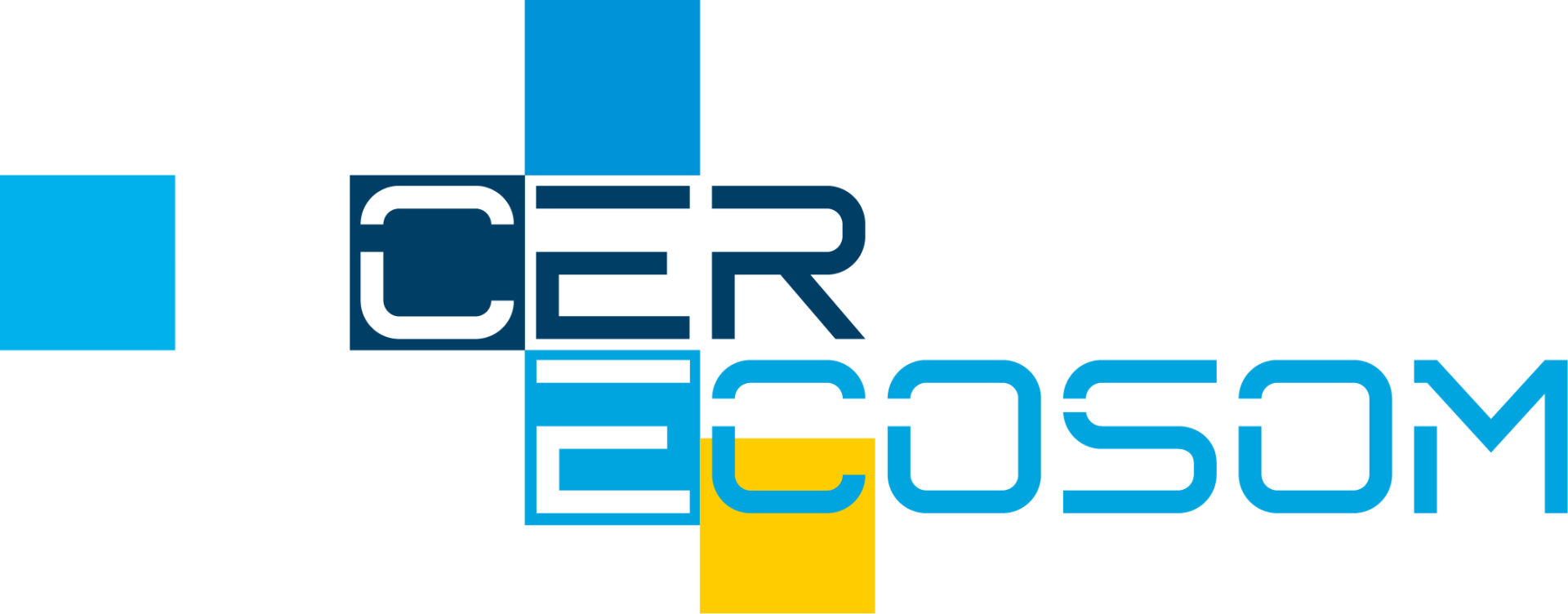 CER ECOSOM Icons 9
